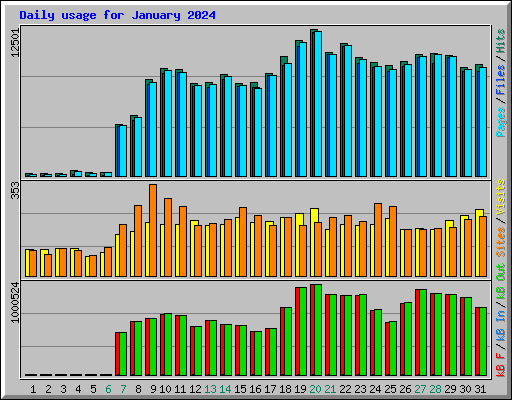 Daily usage for January 2024