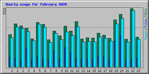 Hourly usage for February 2020