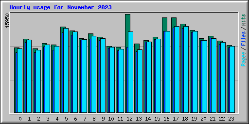 Hourly usage for November 2023