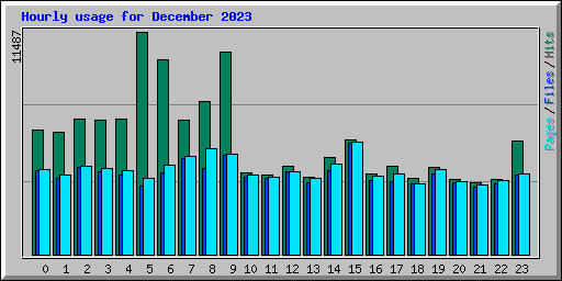 Hourly usage for December 2023