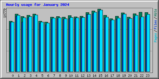 Hourly usage for January 2024