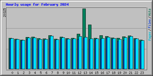 Hourly usage for February 2024