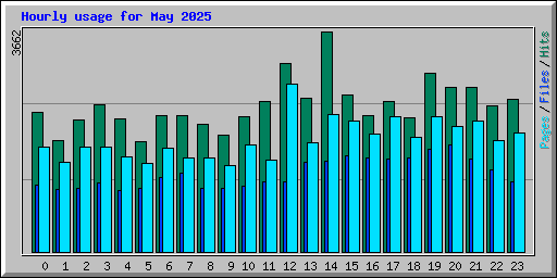 Hourly usage for May 2025