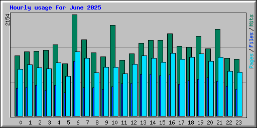 Hourly usage for June 2025