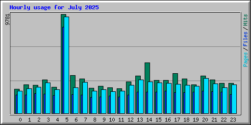 Hourly usage for July 2025