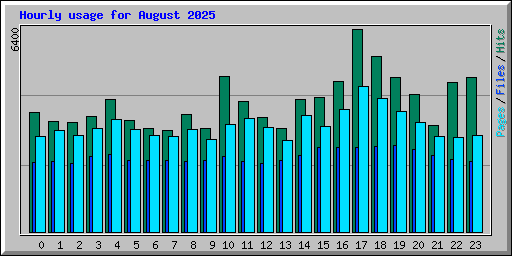 Hourly usage for August 2025