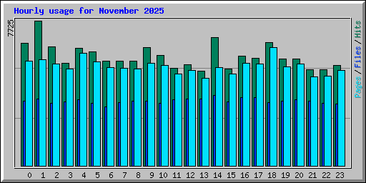 Hourly usage for November 2025
