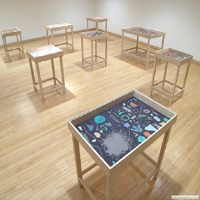 'Miniature Garden' Nami Yamamoto, 2007<br/>cut-out paper, display cases<br/>dimensions variable.