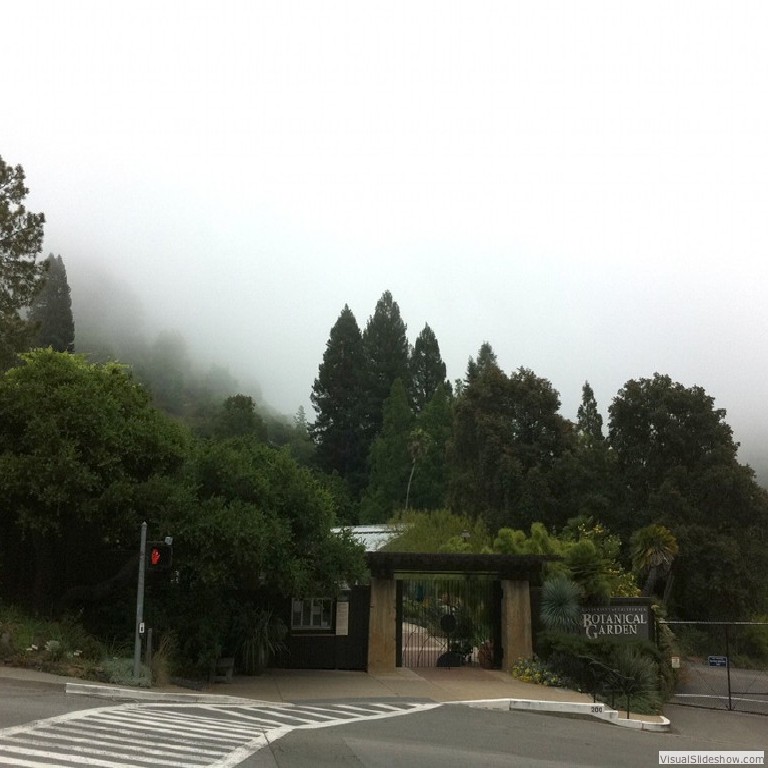 The Botanical garden entrance on a foggy day