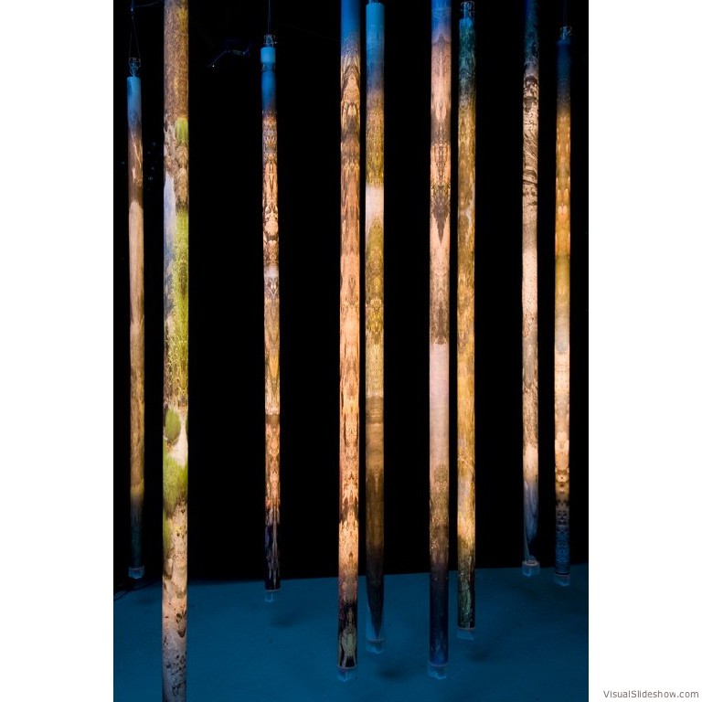 'Center of Gravity'  Gail Wight 2008, <br/>‘Reminiscent of votive candles, this forest of photographic core samples are from fragile landscapes, central to my life and vulnerable to climate change. They light from within as visitors pass by.’ In the permanent collection of the San Jose <br/>Museum of Art.