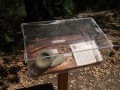 A display case in the garden containing information about Native American use of the Coast Live Oak.