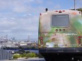 'Endangered Species’ Todd Gilens 2011 Public buses in San Francisco were wrapped with images of indigenous endangerd species